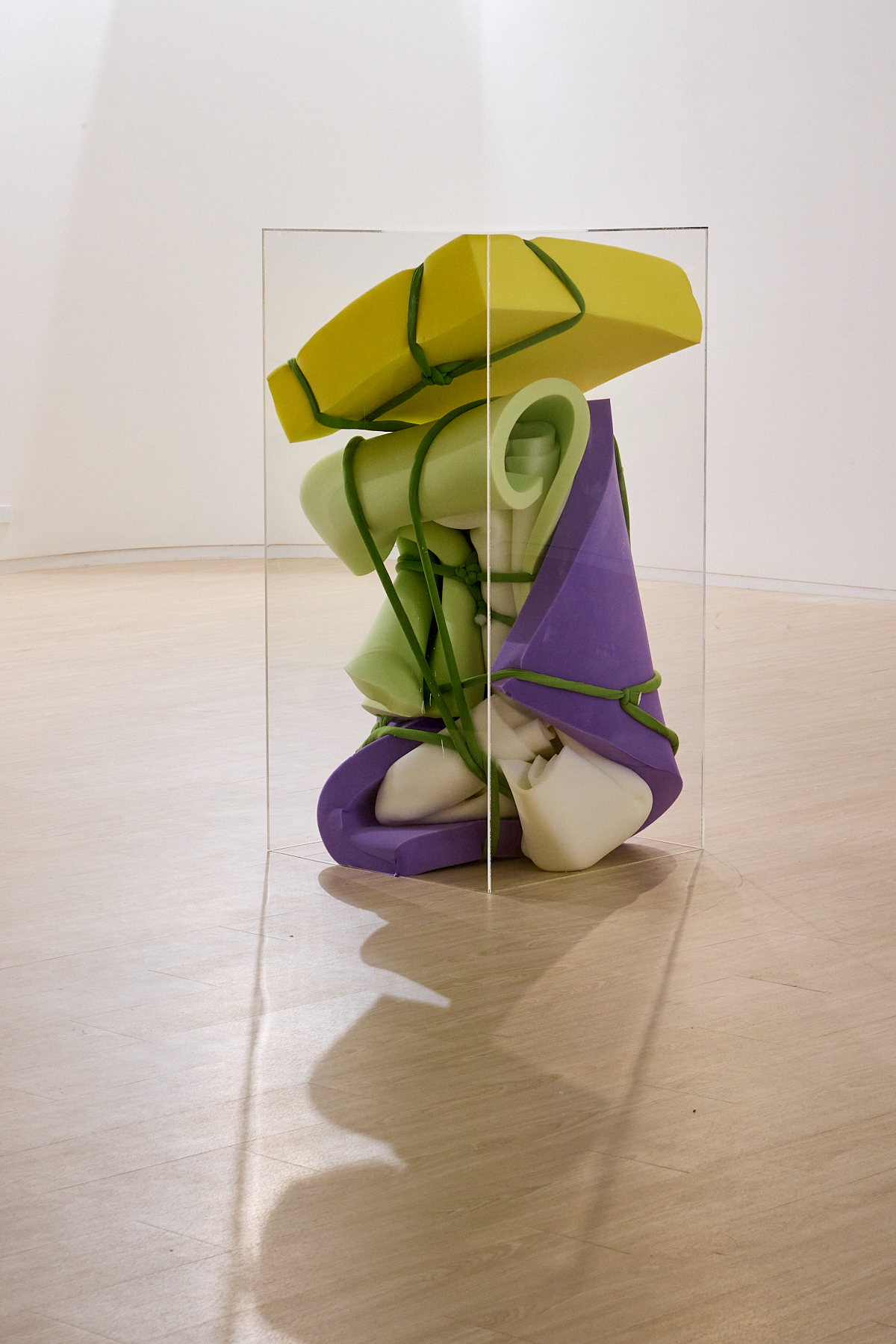 We are living in a room installation by oneg - mixed media exploring body exterior and interior duality